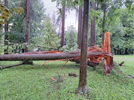 Posledice nočnega neurja. (4)
